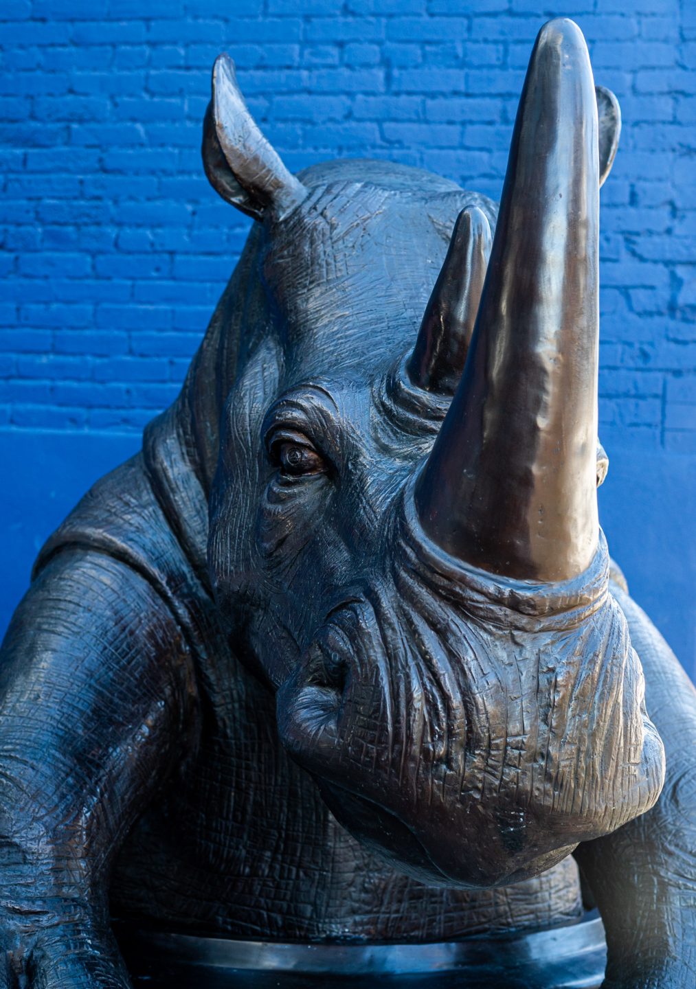 Come Out, Come Out Rhino, Wherever You Are | NINE dot ARTS