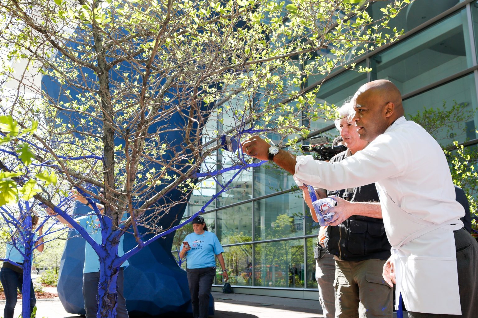 The Blue Trees Project